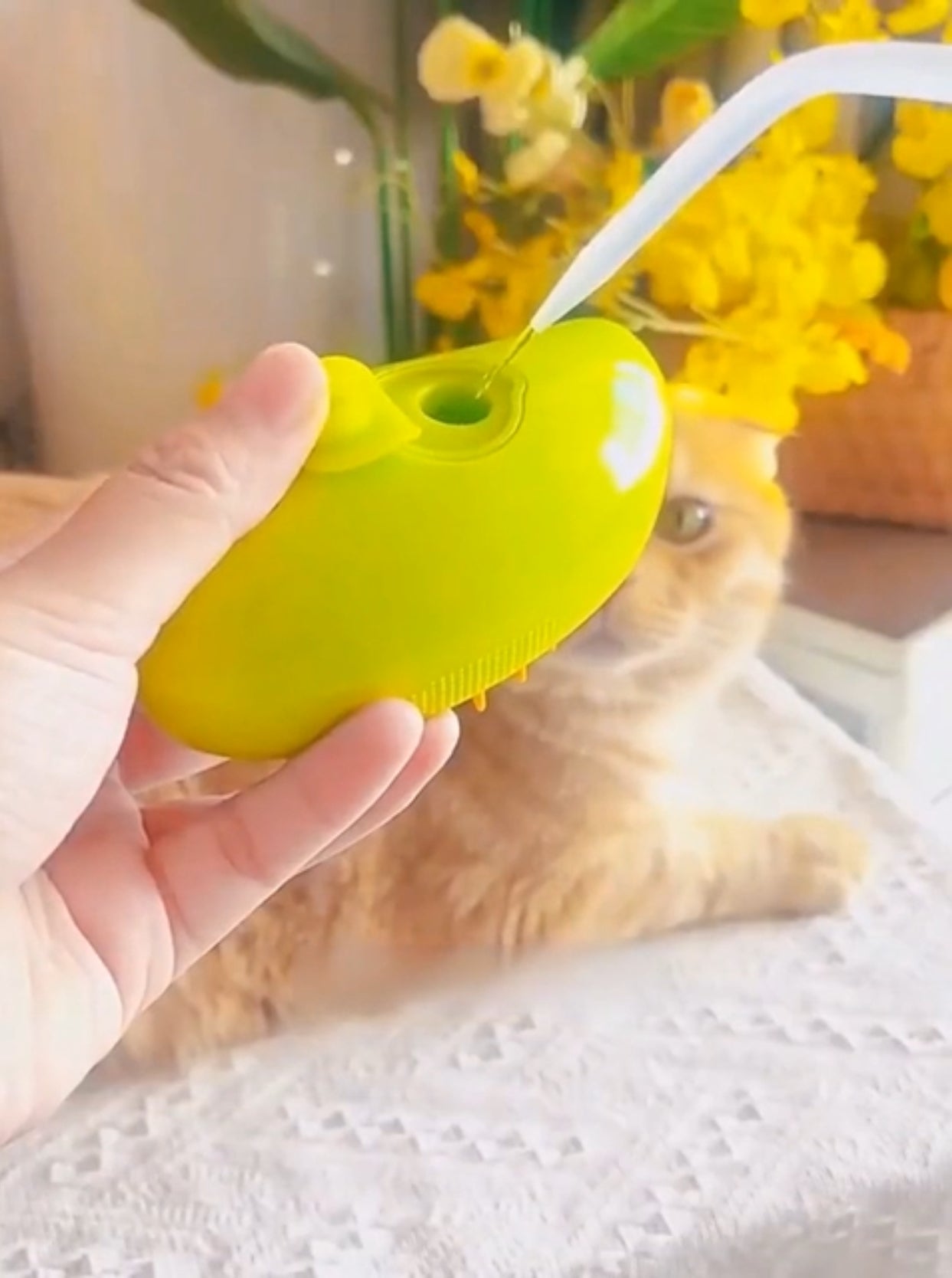 TailedTales™ Steamy brush for furry friends, 3-in-1 pet brush