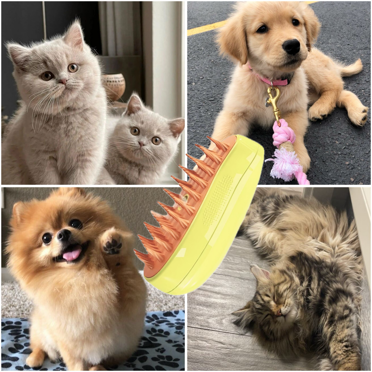 TailedTales™ Steamy brush for furry friends, 3-in-1 pet brush